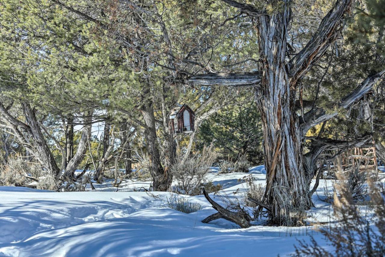 הוילה Eagles Landing A Quiet Colorado Mountain Escape מראה חיצוני תמונה